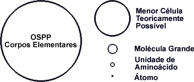 Figura 3. O corpo elementar (célula reprodutiva) de um OSPP (organismo semelhante aos da pleuropneumonia) comparado em tamanho à menor célula teoricamente possível e aos componentes atômicos e moleculares que a formam.