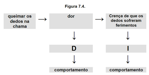Figura 7.4